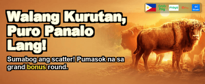 Experience ph282 Casino Thrills